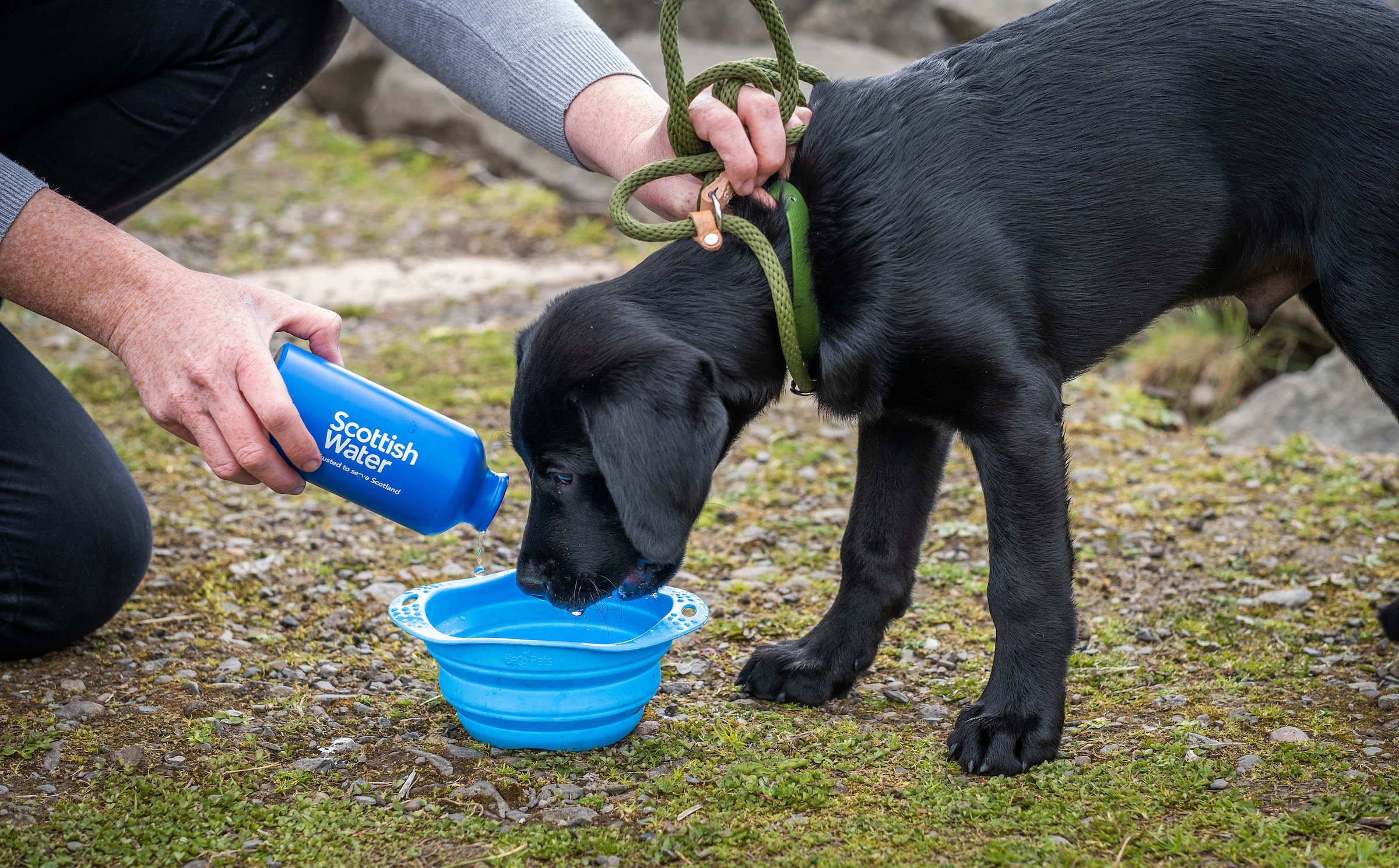 SCOTTISH WATER’S LATEST TOP UP TAP IS PAWSOME!